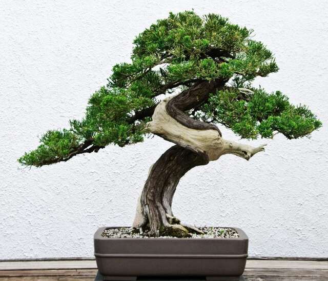 +25 Ý tưởng Quà Tặng Sếp Nam ý nghĩa bạn nên biết 17 Ý tưởng Quà Tặng Sếp Nam ý nghĩa