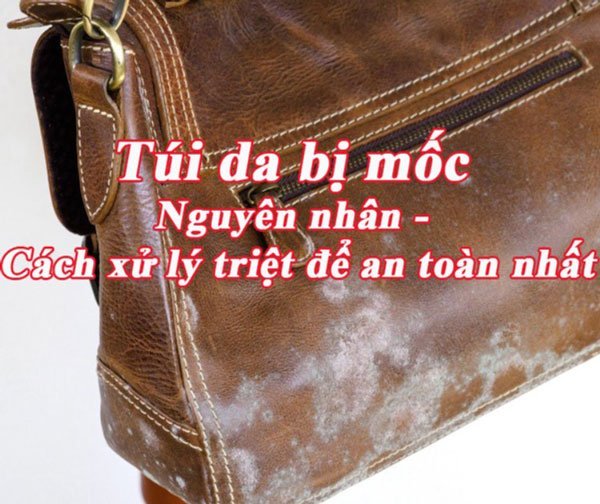 7 Cách xử lý túi da bị mốc hiệu quả như mới